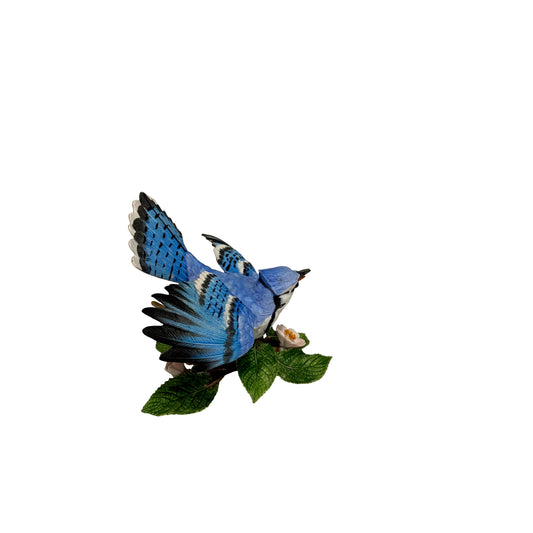 Blue Jay