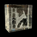 CRYSTAL CUBE