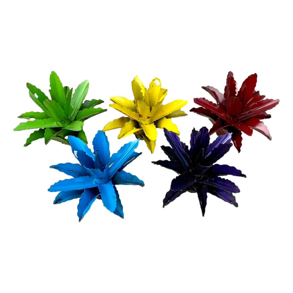 Small Agave - Assorted Colors