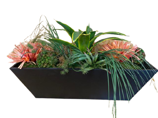 Floral Arrangement