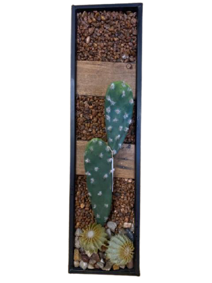 Cactus Arrangement